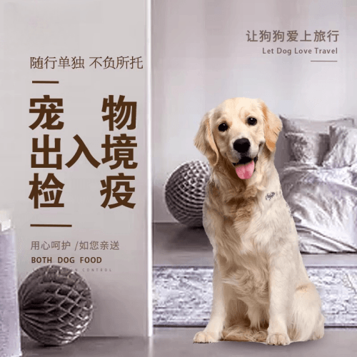 宝山区宠物托运到哥伦比亚猫狗宠物入境规定和