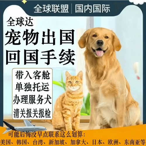 宝山区宠物托运到柬埔寨宠物入境规定和要求