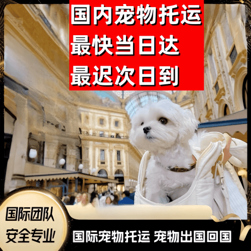 宝山区到澳大利亚（澳洲）宠物入境规定和要求
